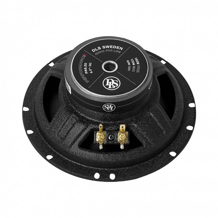 DLS PA6.20