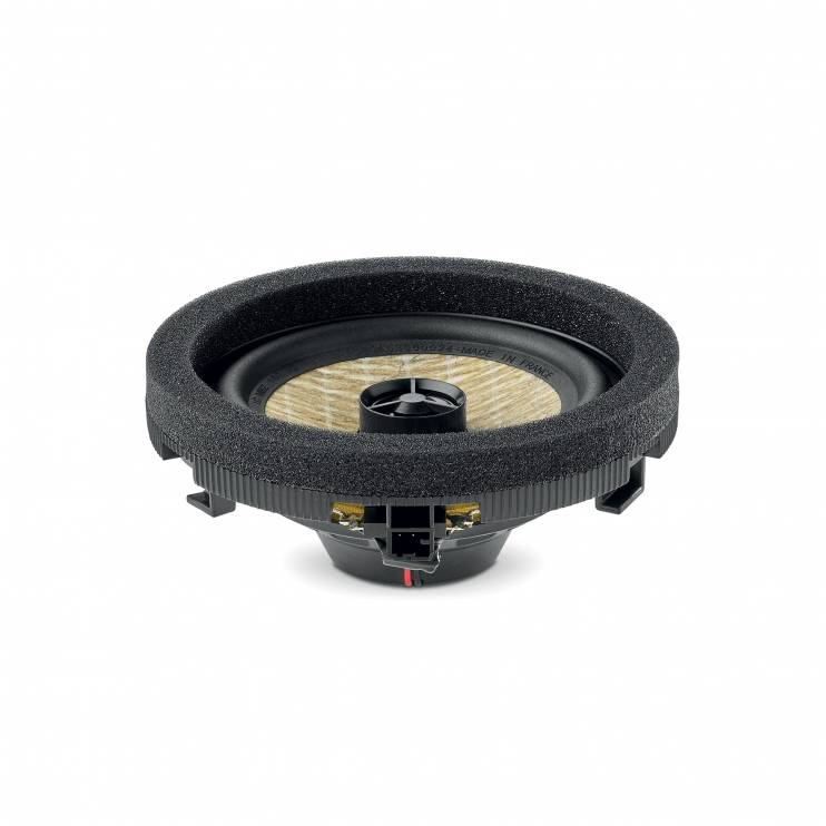Focal IC MBZ100 V2